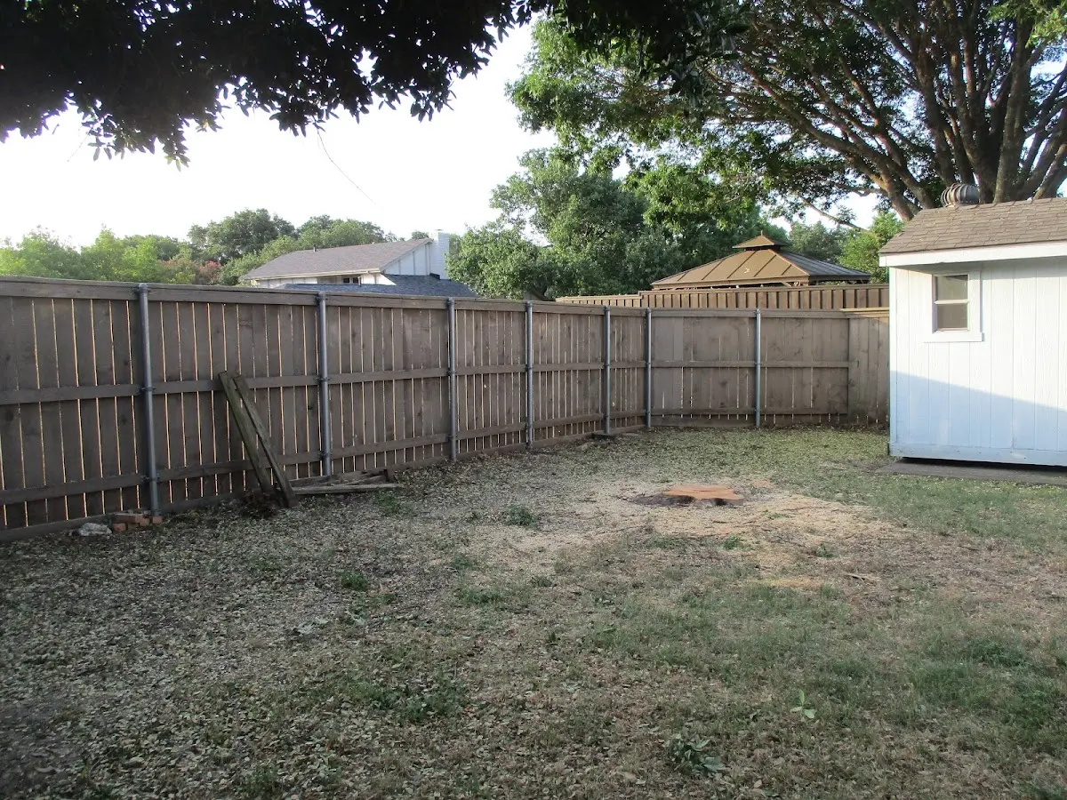 Cleared yard after professional tree removal in Goodell